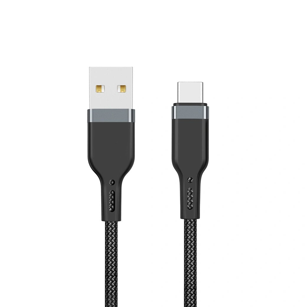 PLATINUM USB TO TYPE-C - image 2
