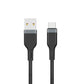 PLATINUM USB TO TYPE-C - image 2
