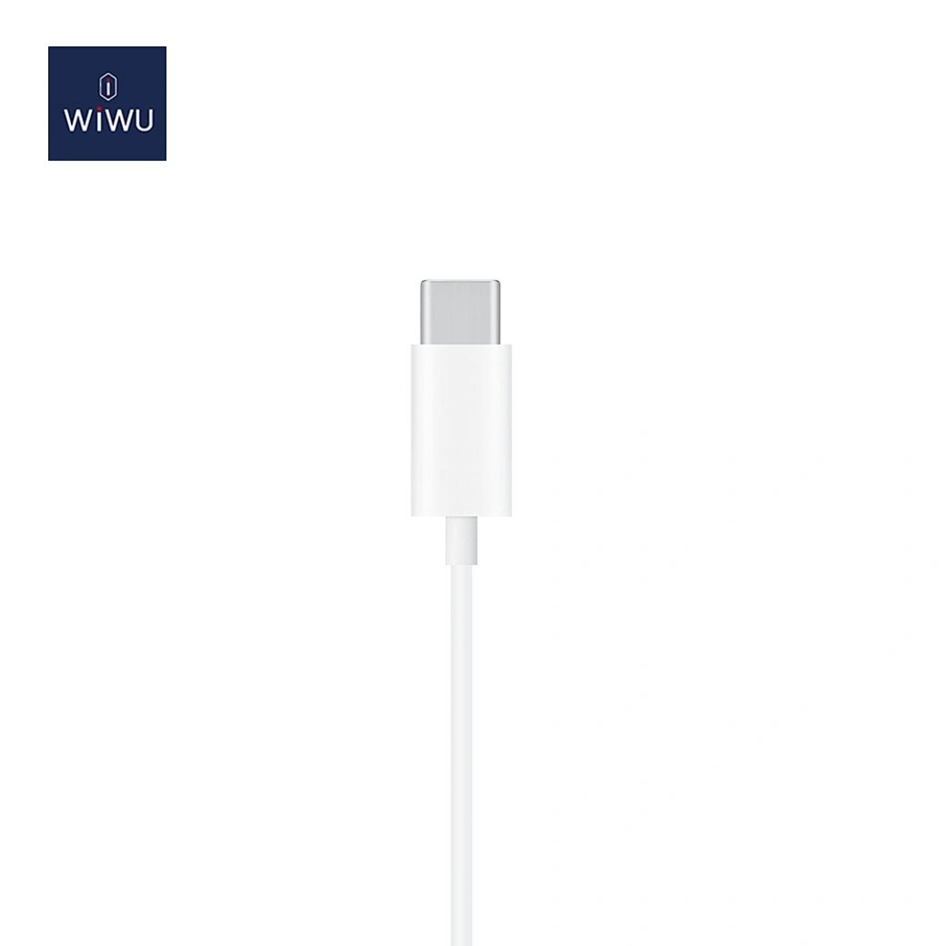 WIWU EARBUDS WITH TYPE-C - image 2